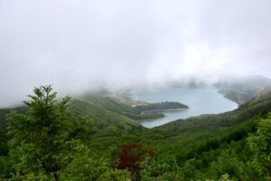 Conditional Freedom